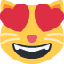 😻 😻