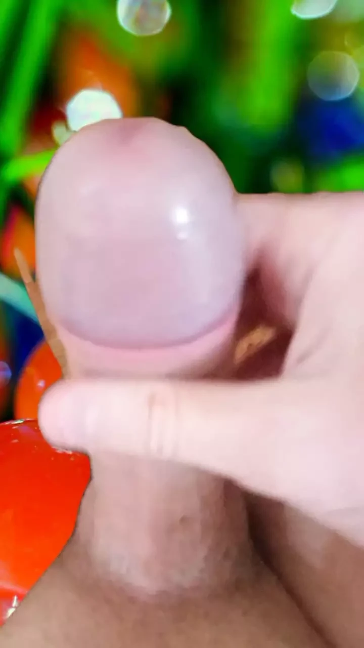BIG ASS COCK HD JOCKER’S COCK – HOT TRANS