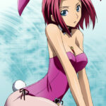 Anime/Manga/Hentai Pantyhose Volume 2!