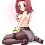 Anime/Manga/Hentai Pantyhose Volume 2!