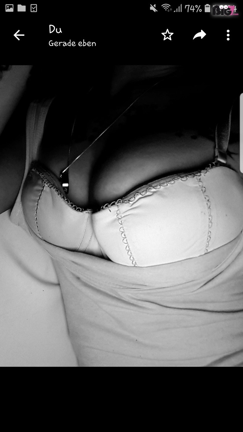 Bella-Wild