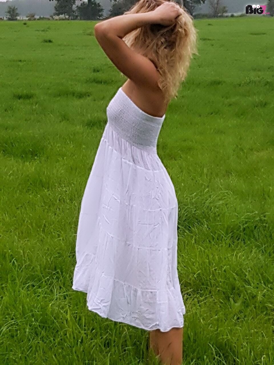 Holsteinmaid