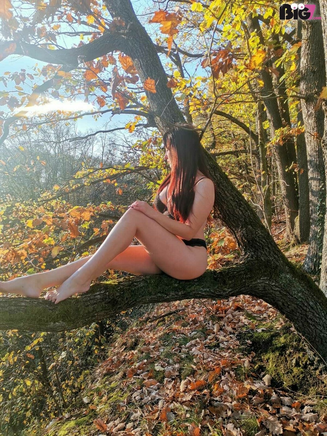 Nika404