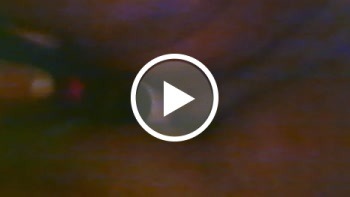 Quicki am Morgen, vertreibt Kummer und Sorgen