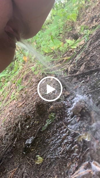 Einfach auf den Waldweg gepinkelt