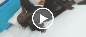 Soo geil... - Private Porn - Jetzt ansehen