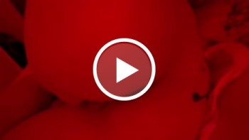 meine beiden Löcher und mein geiler Arsch - Private Porn - Jetzt ansehen