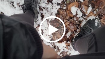 In den Wald gepinkelt