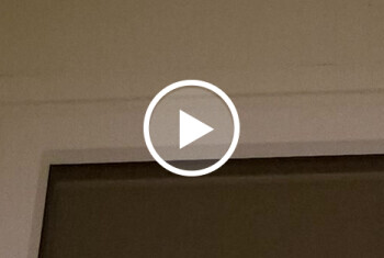 Willst du mir geselschaft leisten!