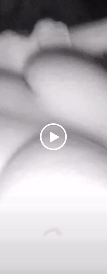 full ass movie