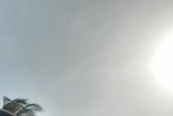 Miss-MisterReggie - Private Porn - Jetzt ansehen