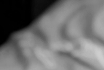 Treasure - Private Porn - Jetzt ansehen